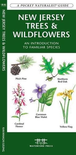 New jersey trees - new,