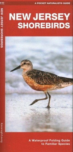 New jersey shorebirds - jersey, a