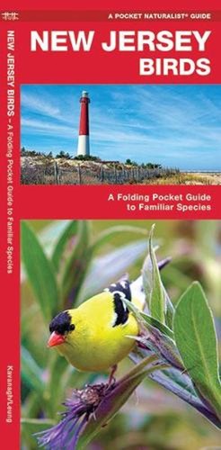 New jersey birds folding - birds:, a