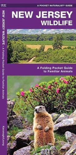 New jersey wildlife folding - jersey, a