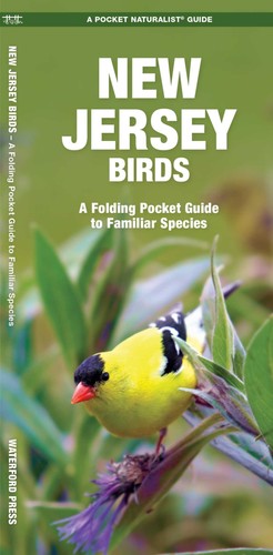 New jersey birds folding - birds:, a