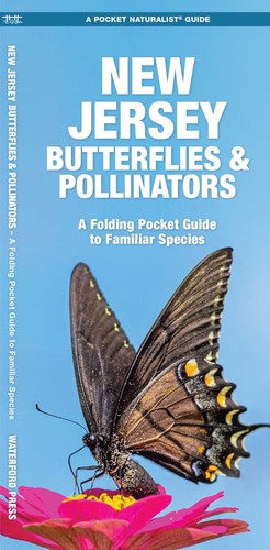 New jersey butterflies - new,